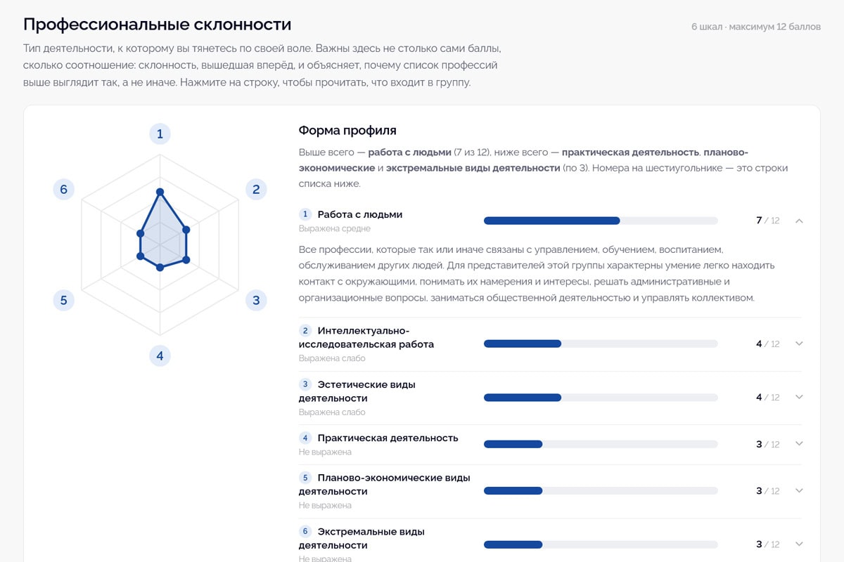 Раздел отчёта «Приоритеты профессиональной деятельности»